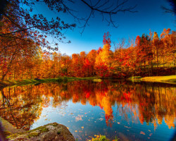 Cherish the Quiet, Treasure the View